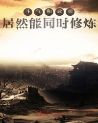 风云之武魂传说
